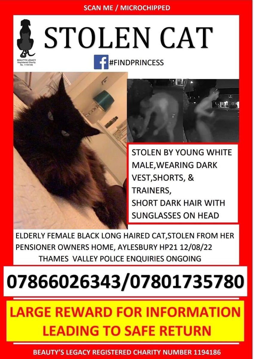 Larawadey's tweet image. Please help us #FindPrincess 🐈‍⬛💔 #aylesbury #missing #stolencat #reward