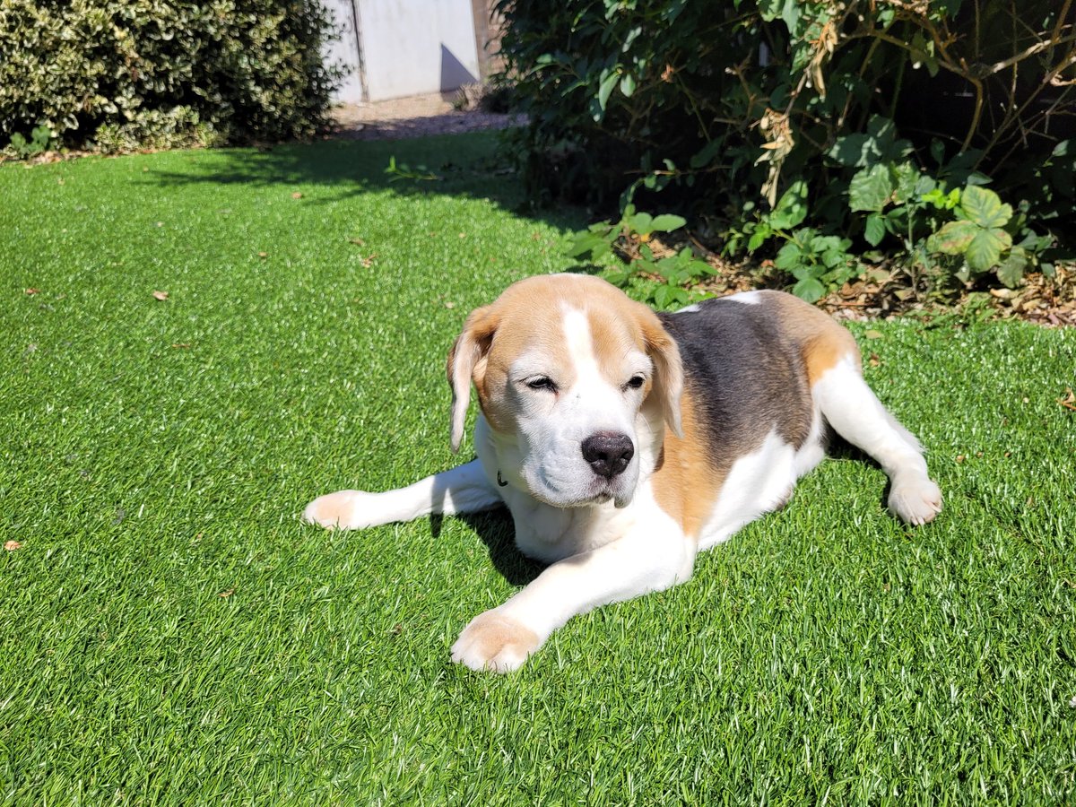 Is there anyone else as crazy as me and enjoying spending time in the sun during the English heatwave?