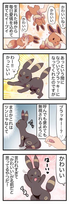 ずっとかわいいブラッキー 