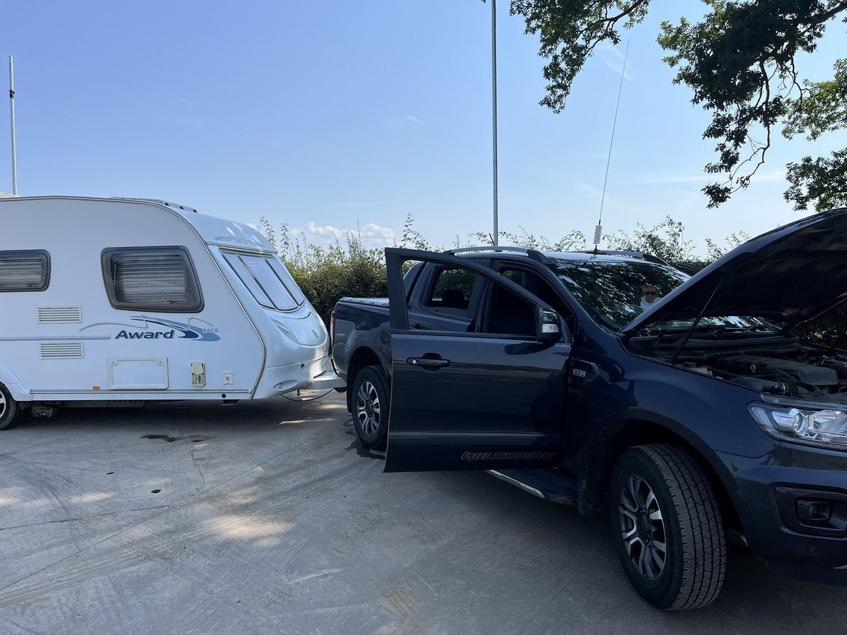 Dogs n Logs tweet media