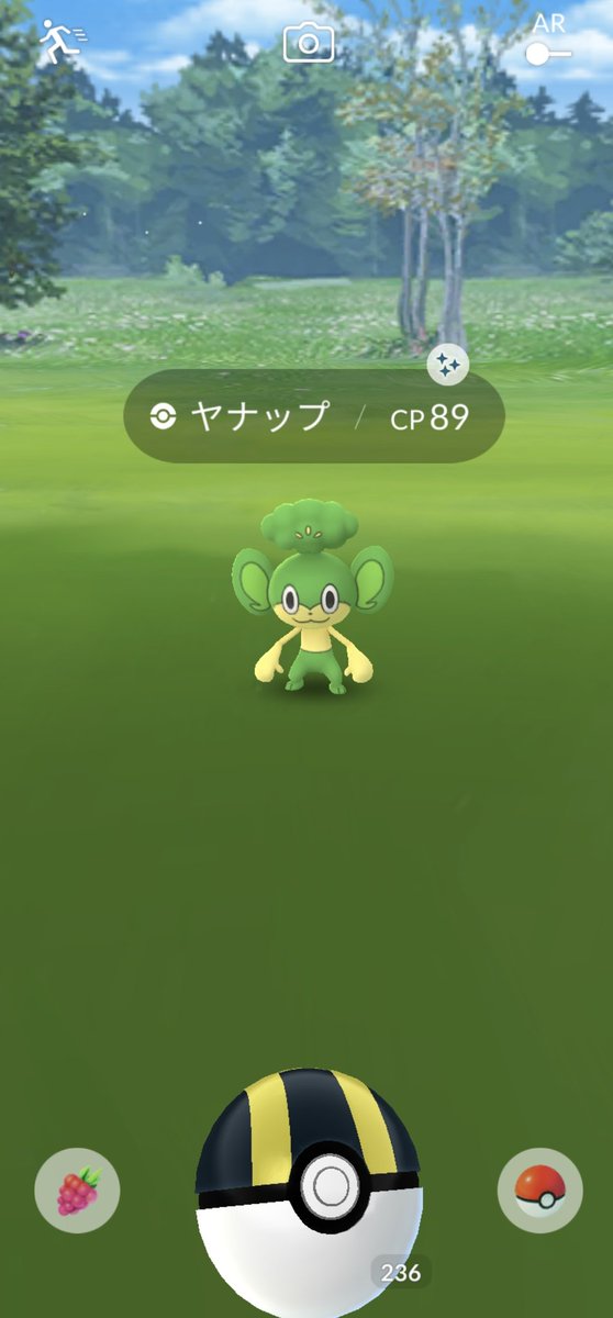 ポケモンgo ミネズミの色違い 入手方法と実装状況 攻略大百科 ポケモンgo ミネズミの色違い 入手方法と実装状況 攻略大百科