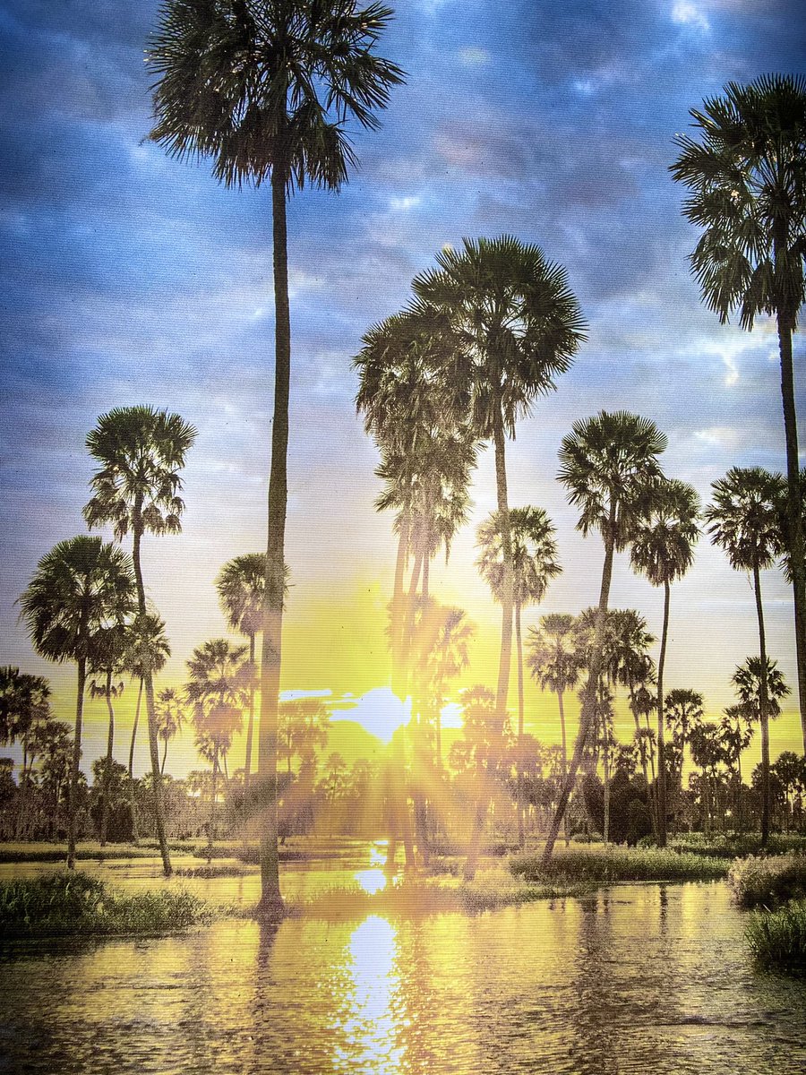 pablo_cuevas25's tweet photo. El imperio 🌴🌴🔝 https://t.co/FjoAir3oDh