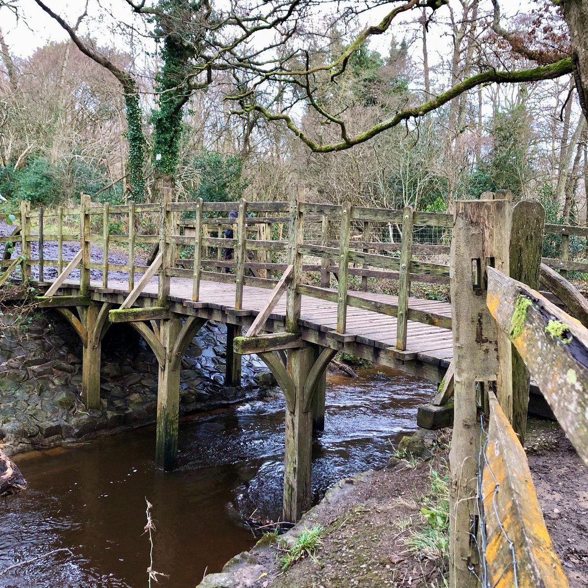 Did you know that Pooh Sticks Bridge really exists? 🥰

Christopher Robin Milne & his bear Winnie the Pooh really played here.
#AshdownForest