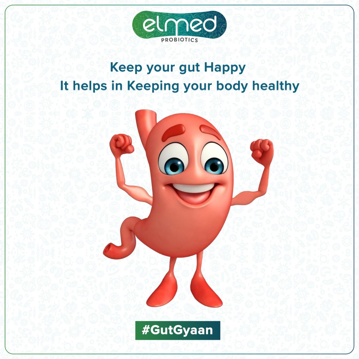 ElmedLife's tweet photo. Its important to keep the gut happy in order to maintain healthy mental state, energy levels high, stress at bay, etc. And this becomes easier with the regular intake of PROBIOTICS. 
.
.
.
.
#microbiome #probiotics #happyhormones #goodbacteria #stressmanagement https://t.co/elCr3xuS6E