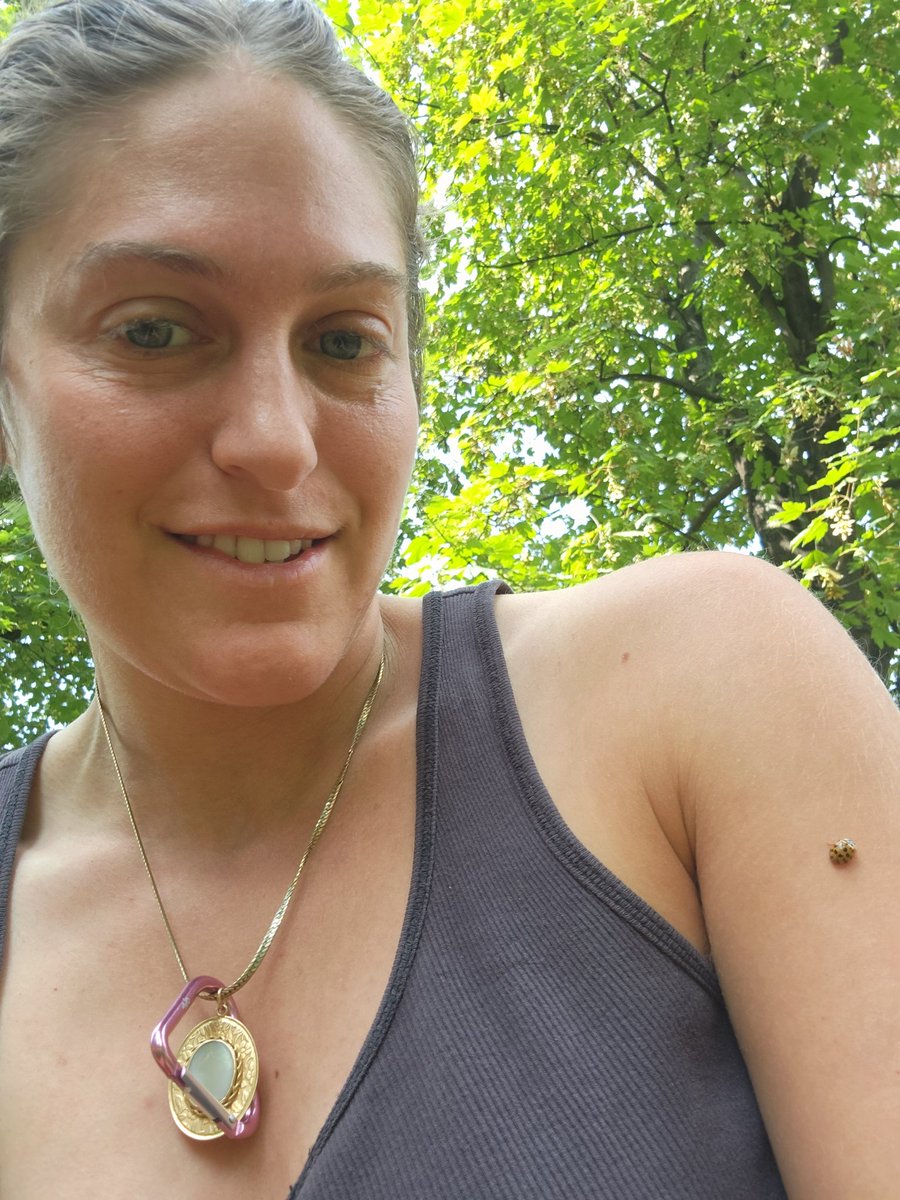 JB_Lesel's tweet photo. This yellow lady bug. So schön https://t.co/kg1MtI2gbn
