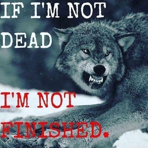 Rah_Ghostooa's tweet photo. https://t.co/MZUC8m9i9D