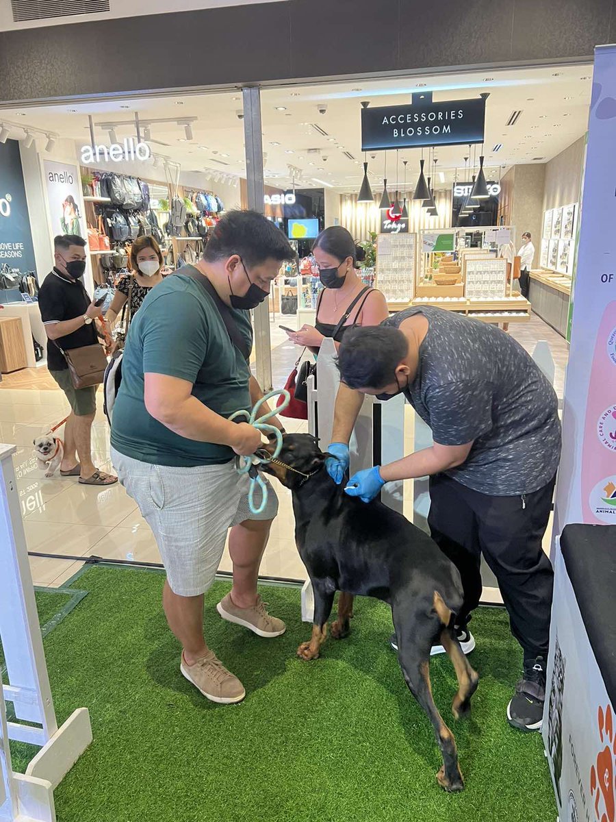 Quezon City Government on Twitter "Maraming salamat sa lahat ng