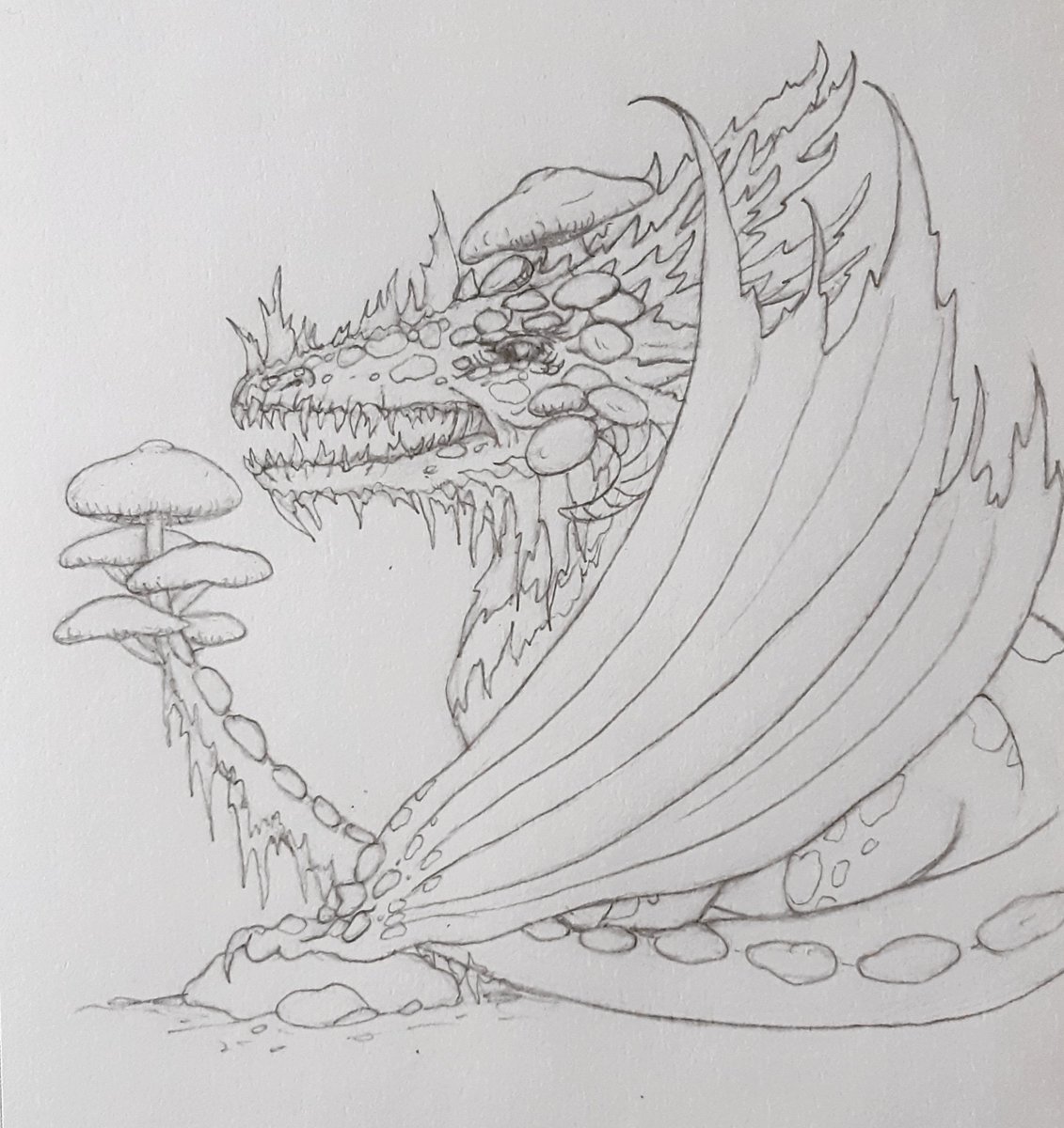Sheblackdragon's tweet photo. The mushroomoid tail Dragon Sketch No.13 emits sugary aromas to lure insects or unsuspecting fairies. When its prey within range, it snaps its sharp teeth! Not being the best flyer is not an issue when living as part of the deep forest. 
#dragons #art #sketch #sheblackdragon https://t.co/knpVROYGRd