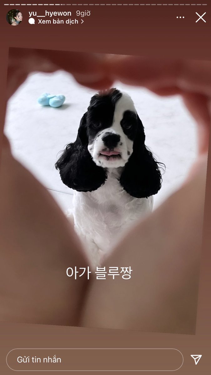 Ririseyo tweet media