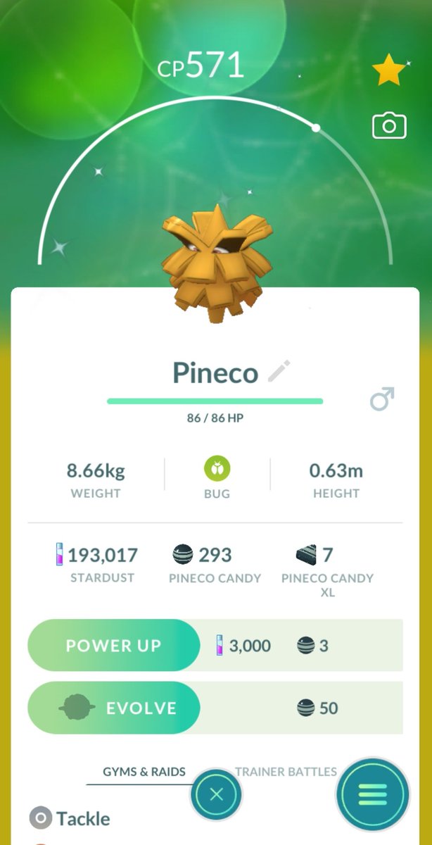 magic_thomas93's tweet photo. Shiny Pineco 😱😱😱✨✨✨😍😍😍
#PokemonGO #Pogo #pkmgo #pokemoncommunity #PokemonGOfriend #PokemonGOCommunityDay #PokemonGOfriends #ShinyPokemon #ShinyCheck #pokémon #adventureincense #shinyhunters https://t.co/hkoaJZ0TxA