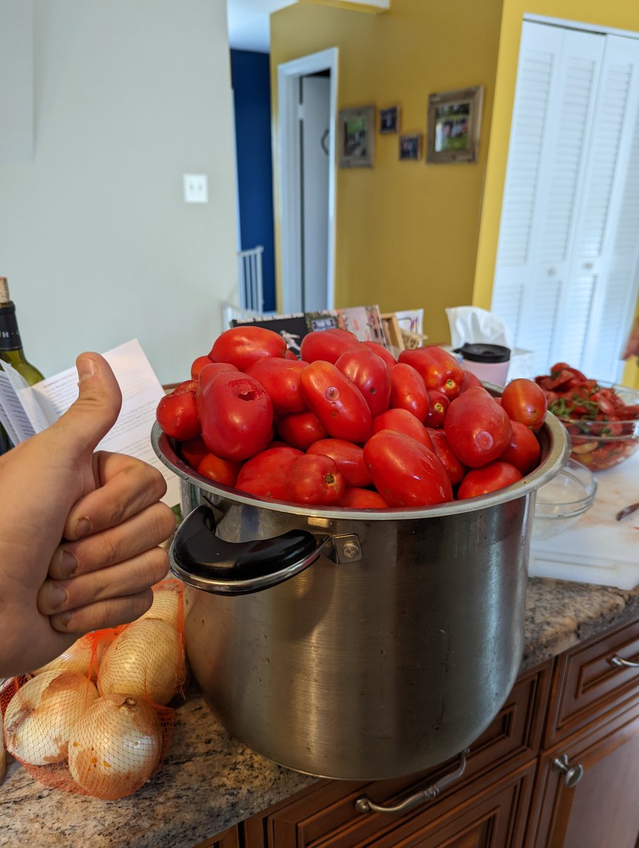 Main tomato harvest is coming in at 32.2 pounds. Puts us at ~40 lbs so far for the season. And that's just San marzano.
The salsa will flow.