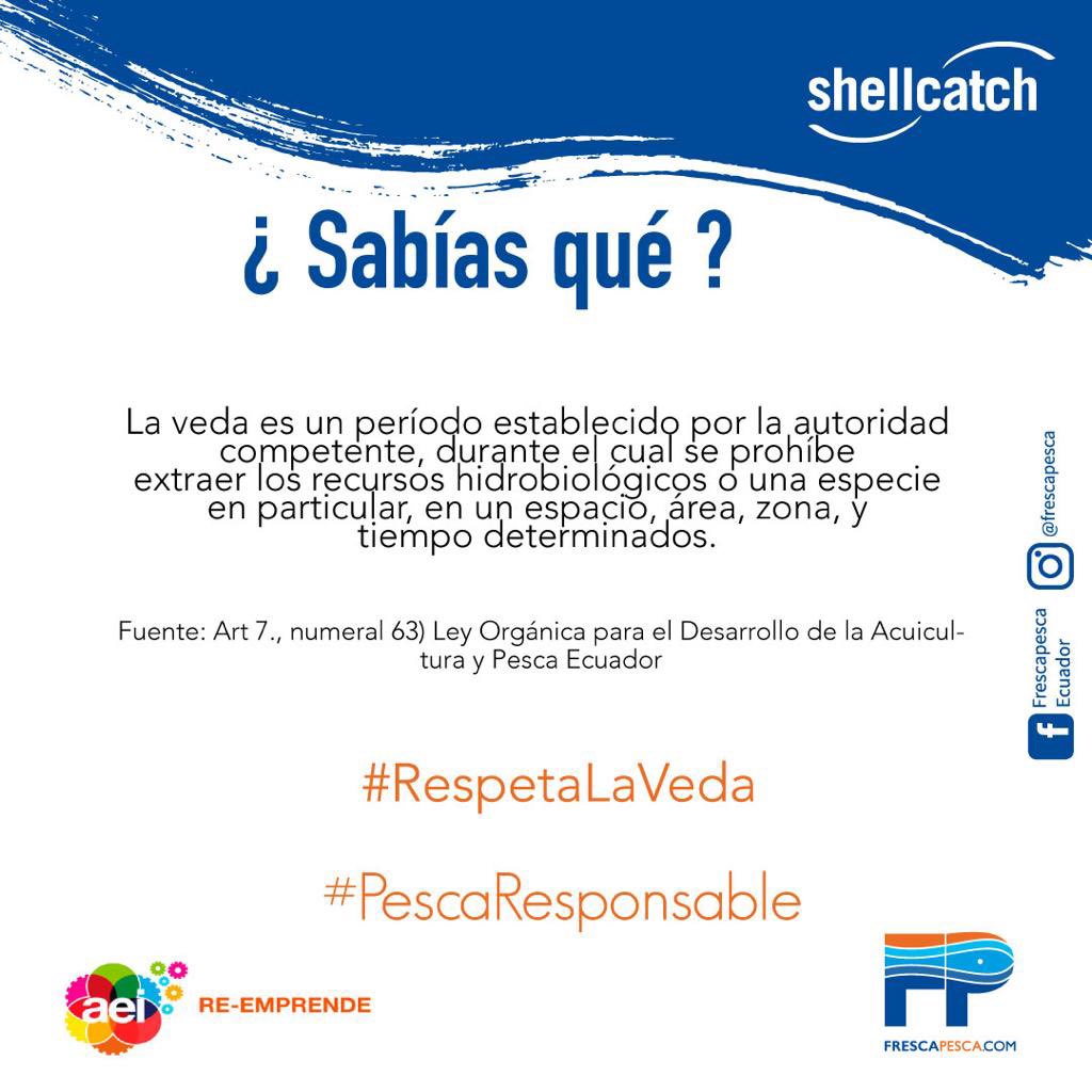 Shellcatch Ecuador tweet media