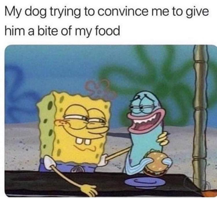 WholesomeMeme's tweet photo. https://t.co/xKxl5DT8Sv