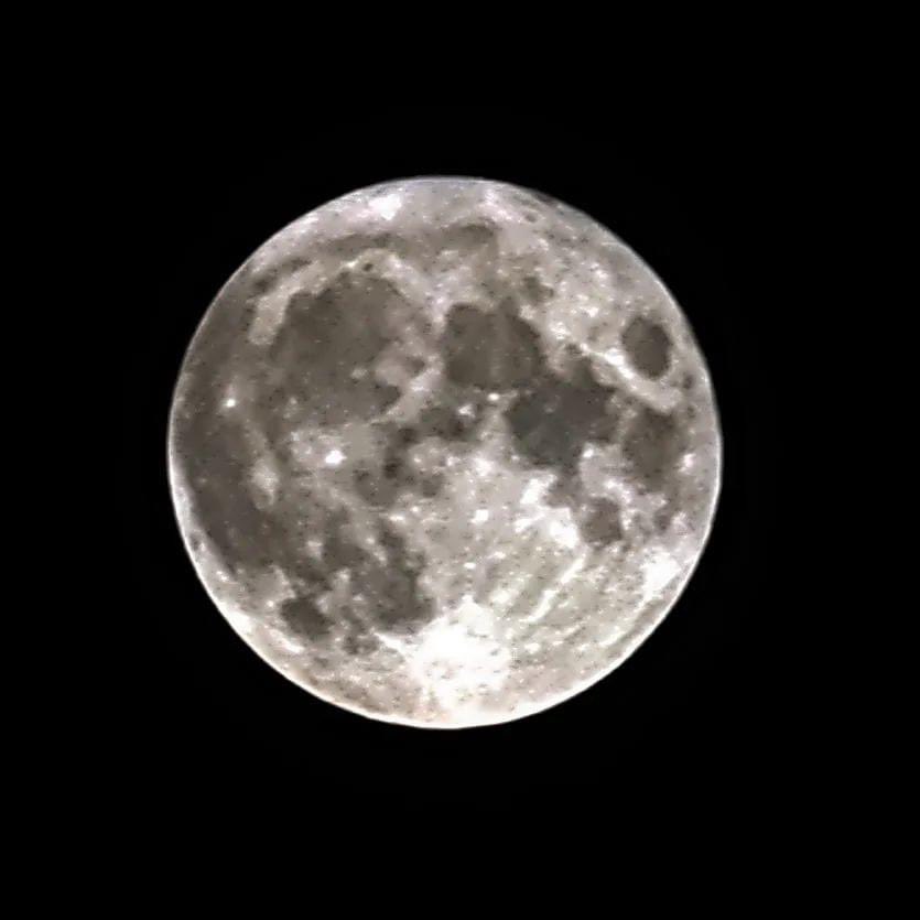 Gmspirateart's tweet photo. Sturgeon full moon https://t.co/DC0JMTZDD5