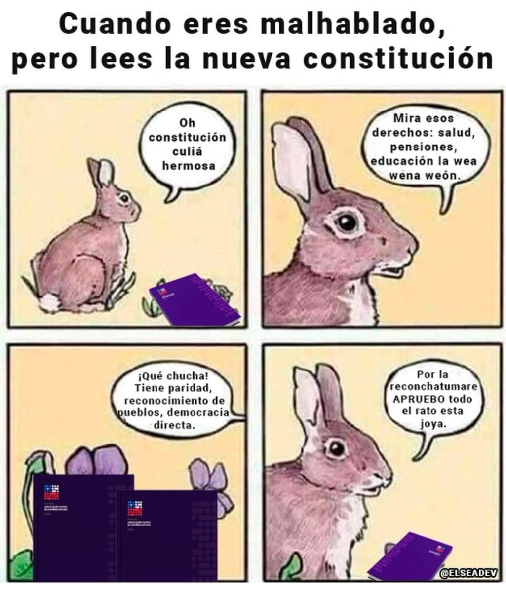 irrsee_'s tweet photo. Soy yo https://t.co/QP73bIURdT