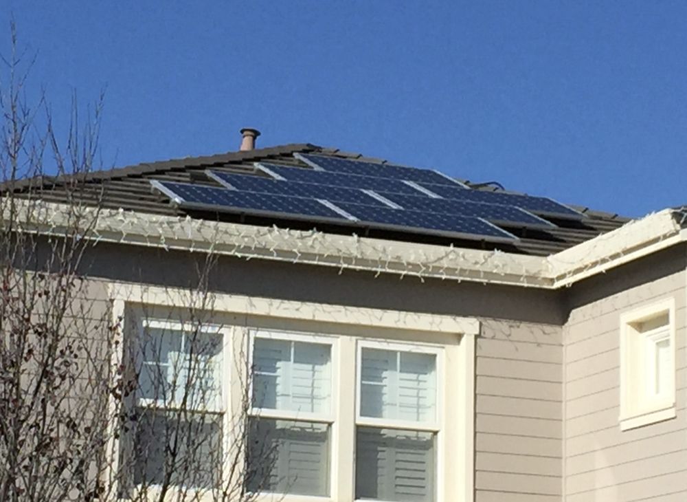 HighlightSolar's tweet image. Want to be more responsible towards the environment? Contact us to choose from a wide range of solar panels to power home or office!