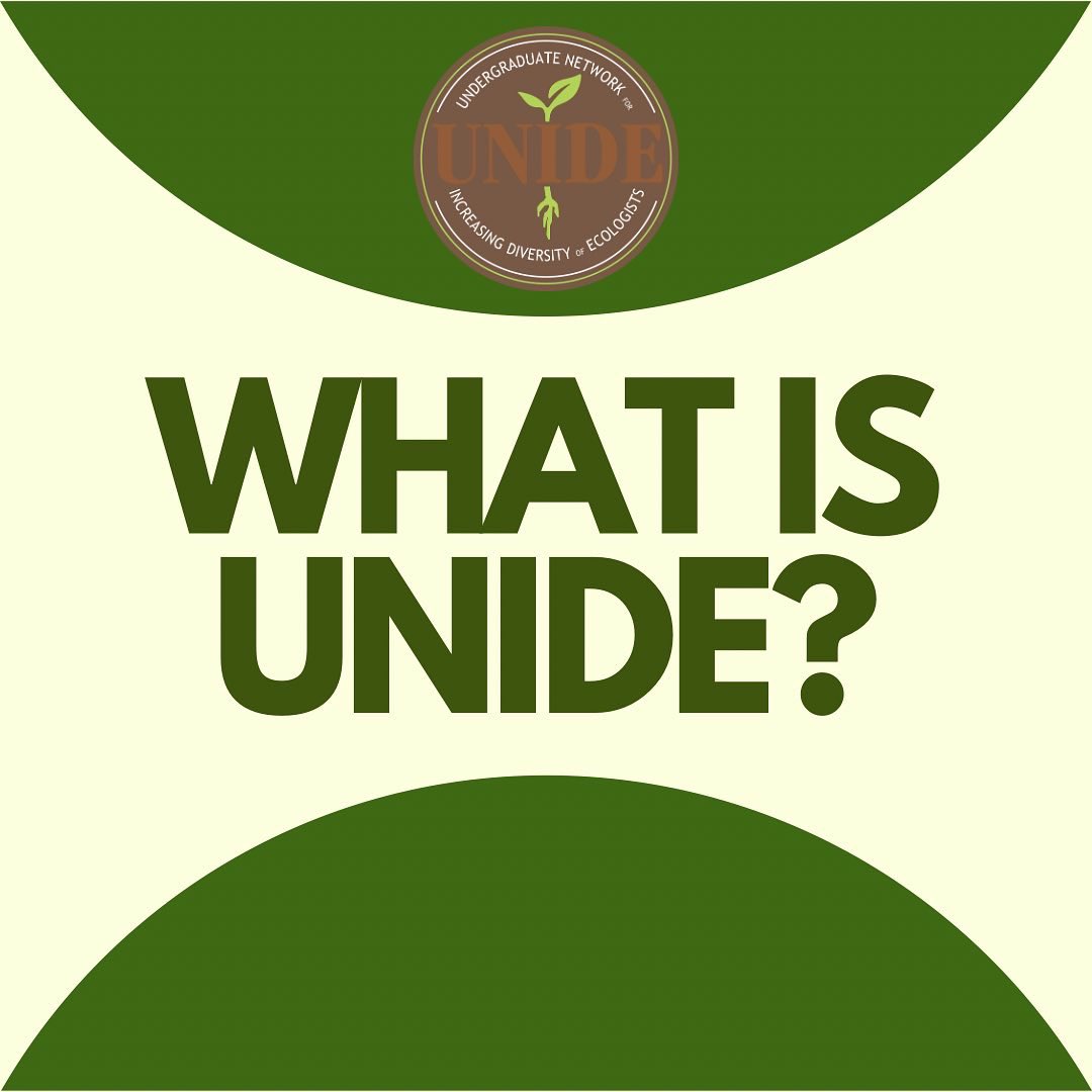 UNIDE Student Advisory Board tweet media