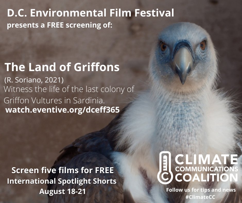 climate_cc's tweet photo. FREE Screening! #ClimateCC #DCEFF #FREE
@NationalAudubon @ANStweets #Italy #ornithology #wildlifeconservation #soar @WWF @SierraClub https://t.co/b2Qvslp2qf