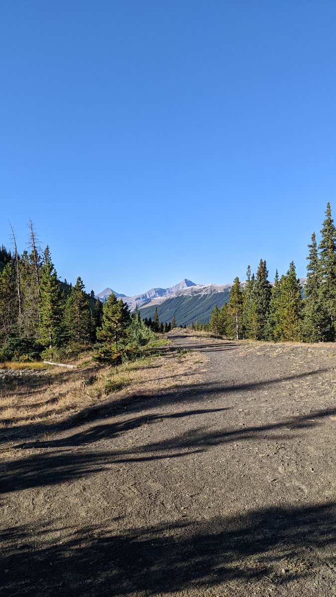 Adam French tweet media