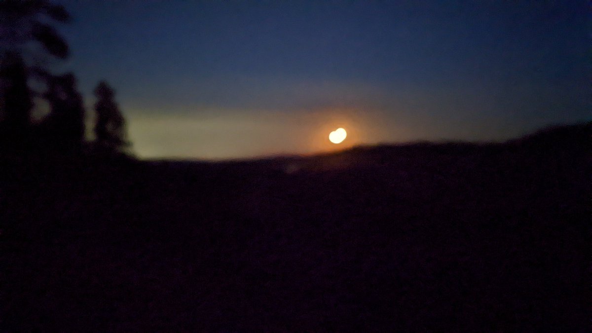 Adam French tweet media