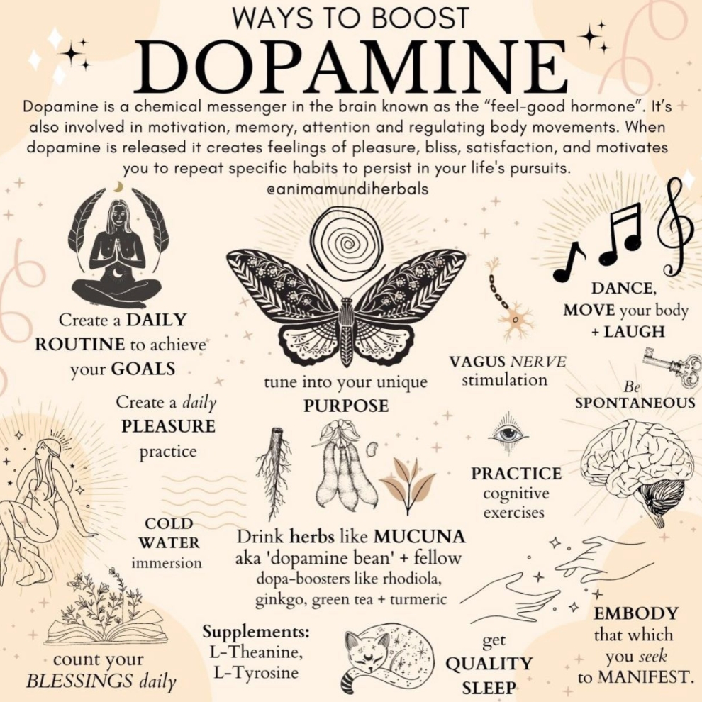 SeaSaltTherapy's tweet photo. Dopamine is spread by the nervous system along the major pathways in the brain. It is known for its role in how we feel pleasure but it also affects the following:

Learning ⭐ Motivation ⭐ Heart Rate ⭐ Blood Vessels ⭐ Kidneys
Lactation ⭐ Sleep ⭐ Mood ⭐ Attention ⭐ Pain https://t.co/Mb3cNj4lL2