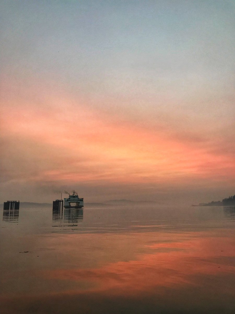 bipolaroidboy's tweet photo. @vinpuc iPhone 8 https://t.co/V8Ozch1T5B