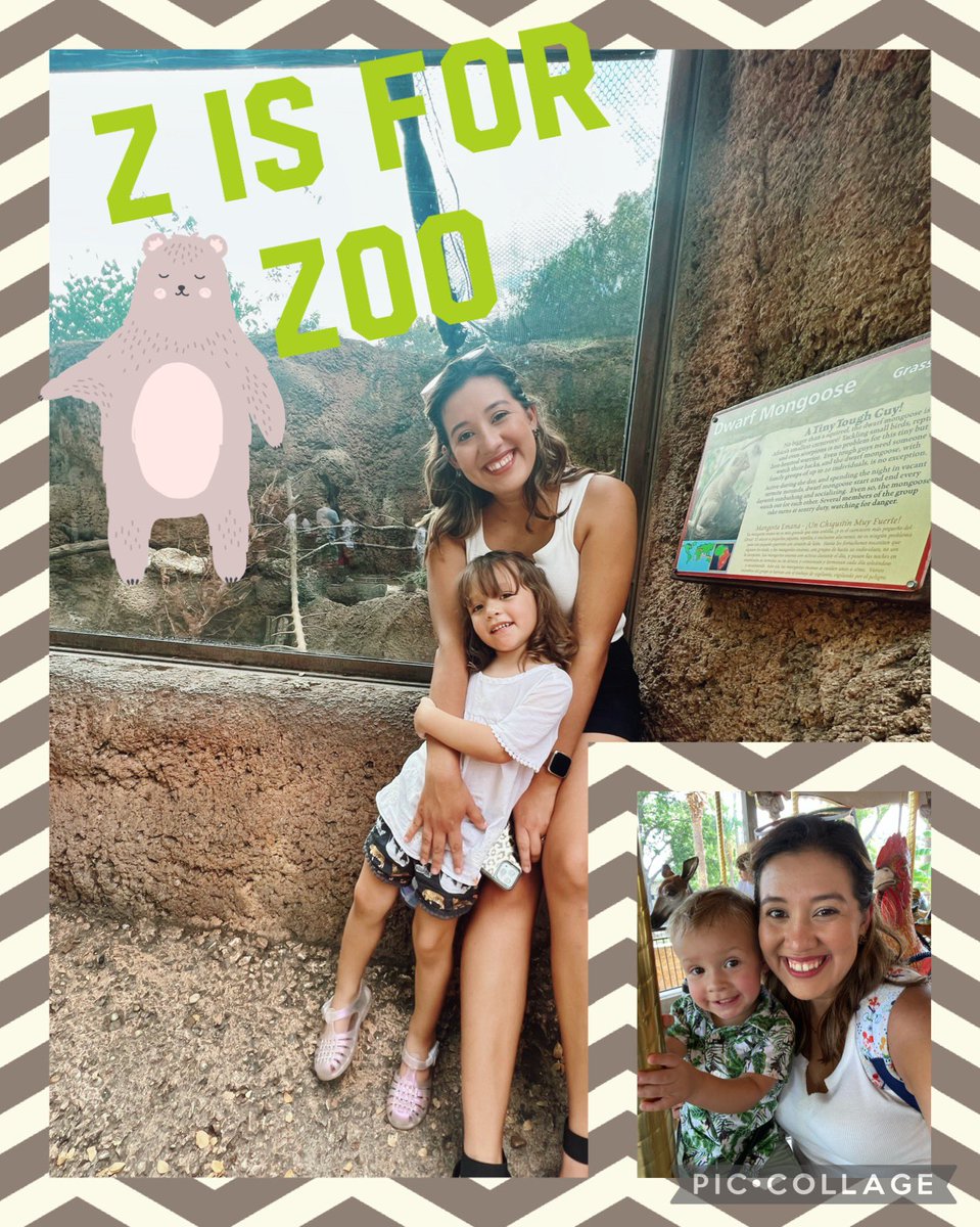 magicalmrsgill's tweet photo. Z is for zoo! 🦁 and that’s a wrap on #abcsofsummer ☀️ https://t.co/9UyUVn1IjS