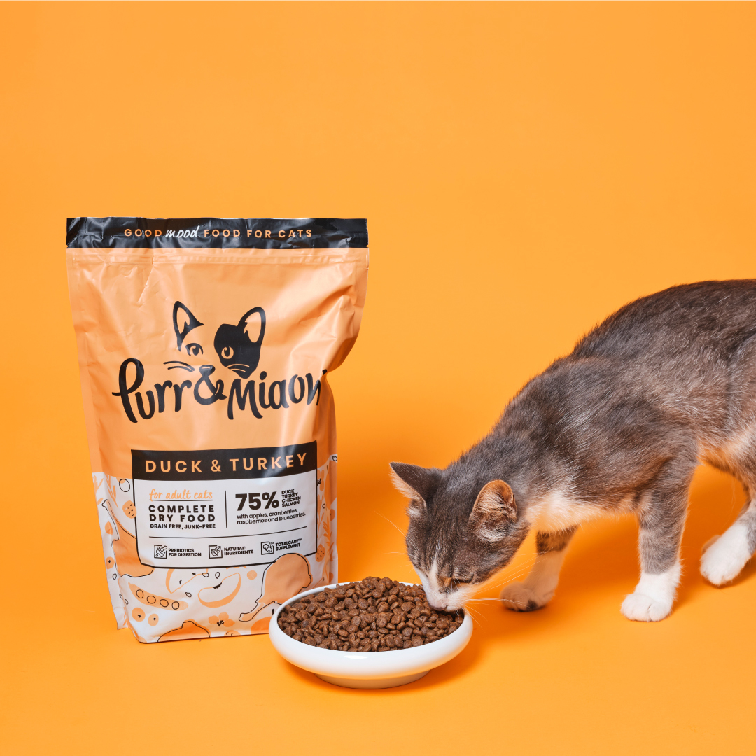 identibase's tweet photo. Just over 24 hours to go until our #CheckYourChip giveaway with @poochandmutt ends! Head to our Instagram and check out our pinned posts to enter 👉 https://t.co/76tZRCVyPS
#Giveaway #PetGiveaway #PoochandMutt https://t.co/G3Ir87TNLu