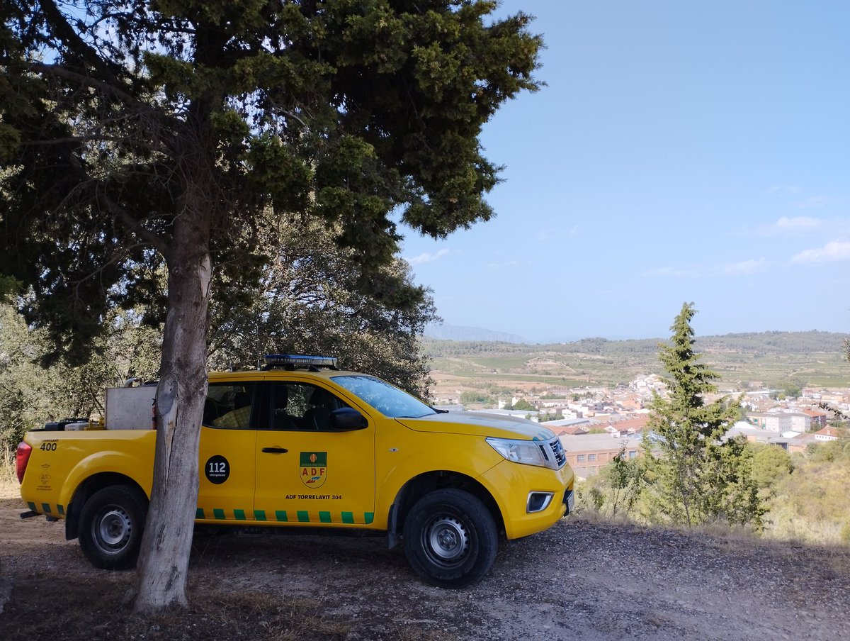 ADF Torrelavit 304 tweet media