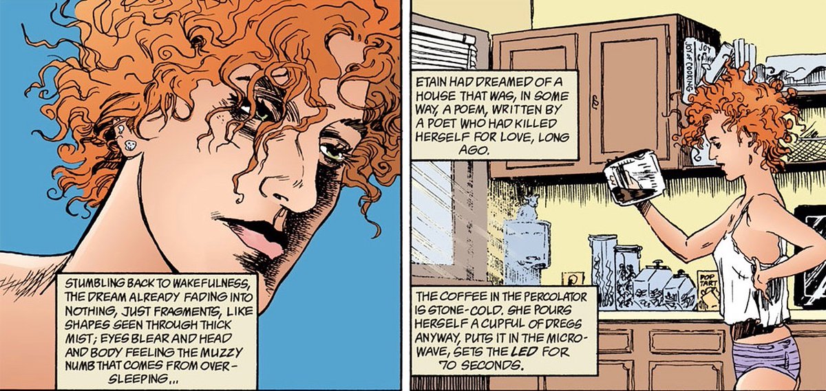 Random Sandman #7516.
#Sandman #NeilGaiman #Morpheus #Dream #Endless