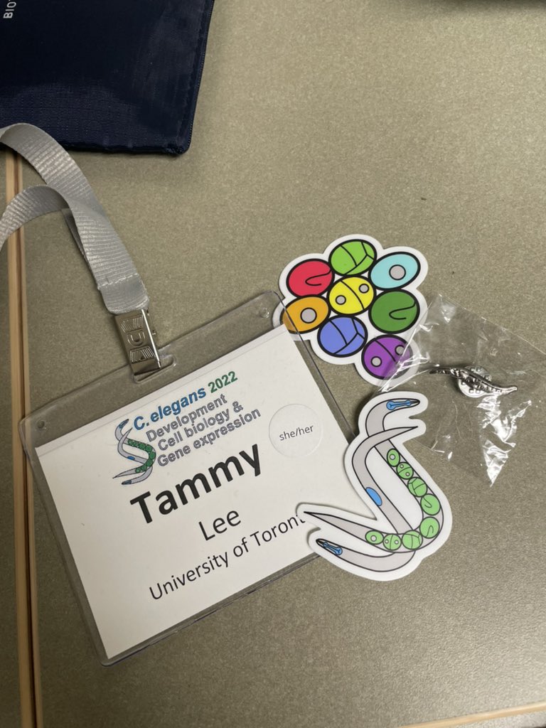 Tammy Lee tweet media