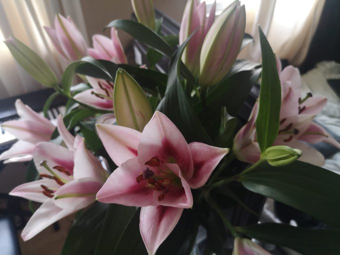 Happy Anniversary https://t.co/ozaOzRjsJn<a href="/tag/tbvideo"class="tags"><span>#tbvideo</span></a>