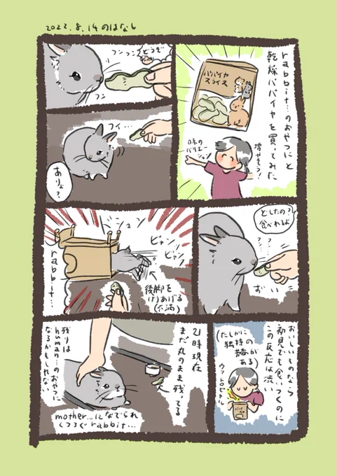 今日のrabbit…
周りのうさぎさんみんなパパイヤ好きだからウッキウキで買って帰ったの
#うさぎのいる生活 