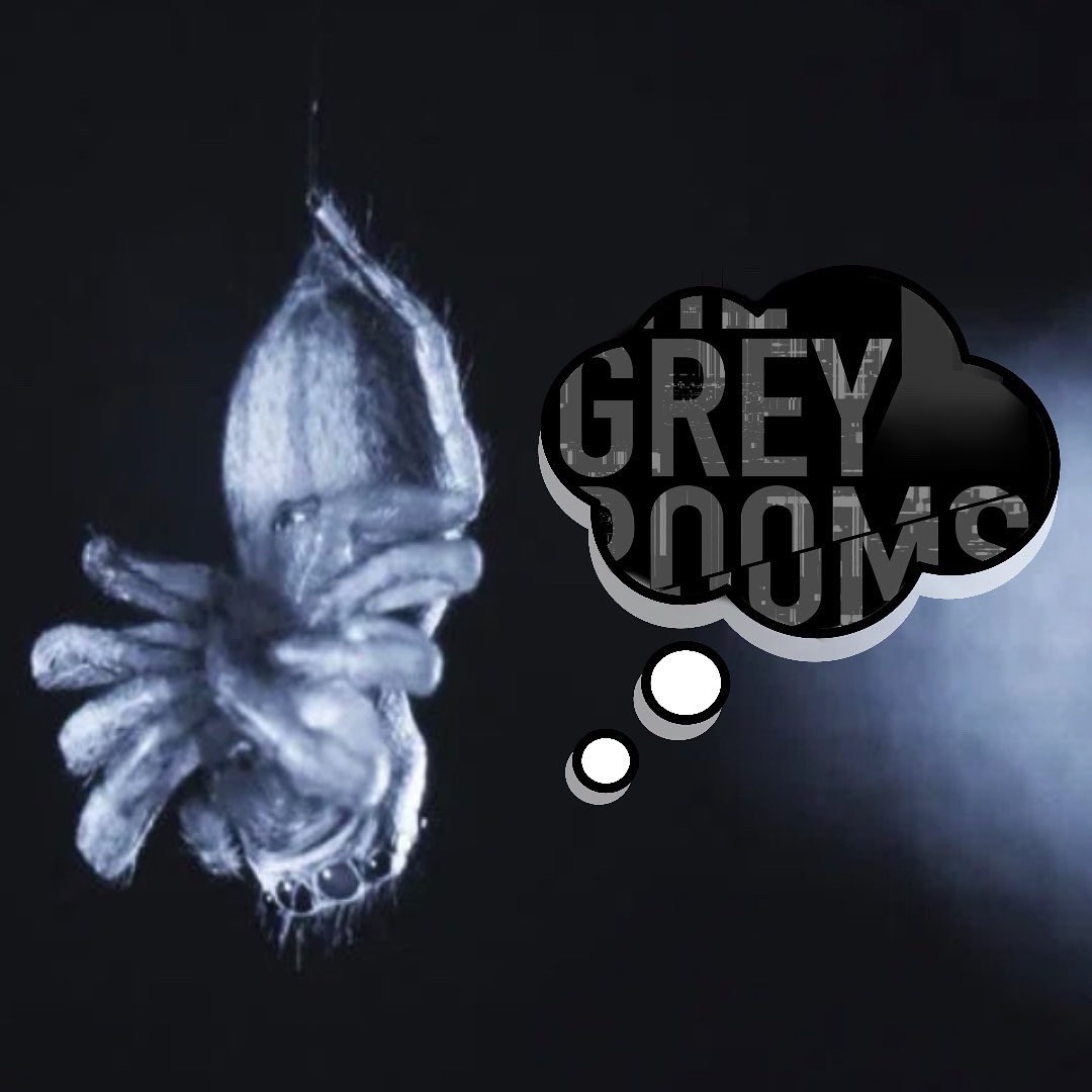 Season 5 is for the spiders.
#spiderdreams #thegreyrooms #season5 #audiodrama #horror #thegreyroomspodcast