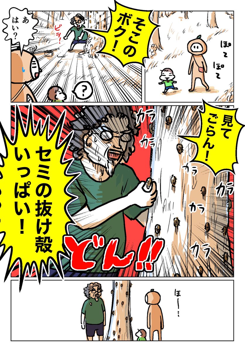 夏に公園行くとセミ好きおじさんに会う話 