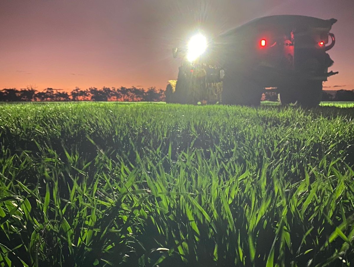 Stew hamilton tweet media