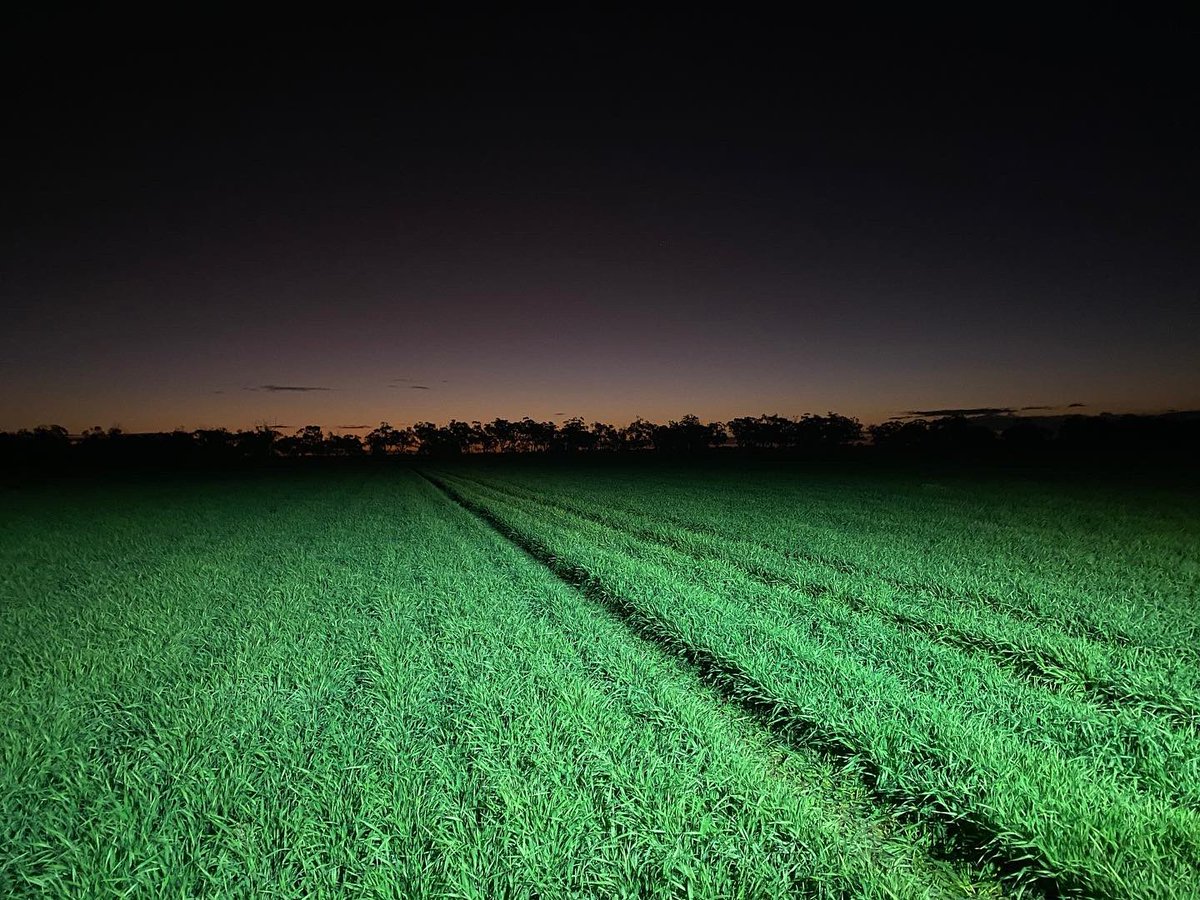 Stew hamilton tweet media