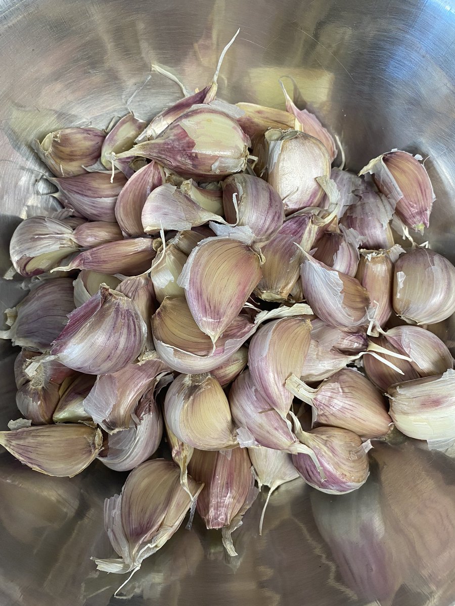 CameraguyRob's tweet photo. #GarlicFest in #PerthOnt has the best Ontario garlic. https://t.co/BgbV0vUonM