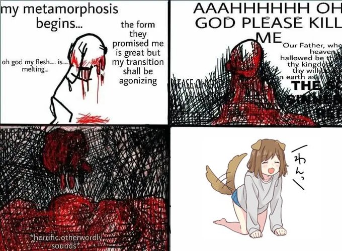 Tankgorl's tweet photo. how HRT basically works https://t.co/S2t7HseHR0