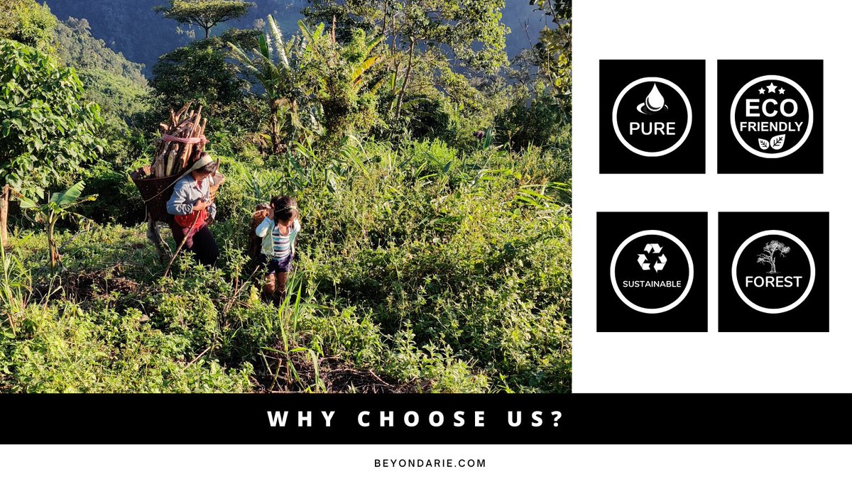 beyondarie's tweet photo. We, the wild ones at Beyondarie, source the wildest, the most untamed and the most potent ingredients from the sister states of North East India to give you a sip of the wild feeling. ShopNow https://t.co/7veczNBsDU #Beyondarie #WildTribe #Wildtea #ForestProduce #northeastindia https://t.co/e8ksmqWccm
