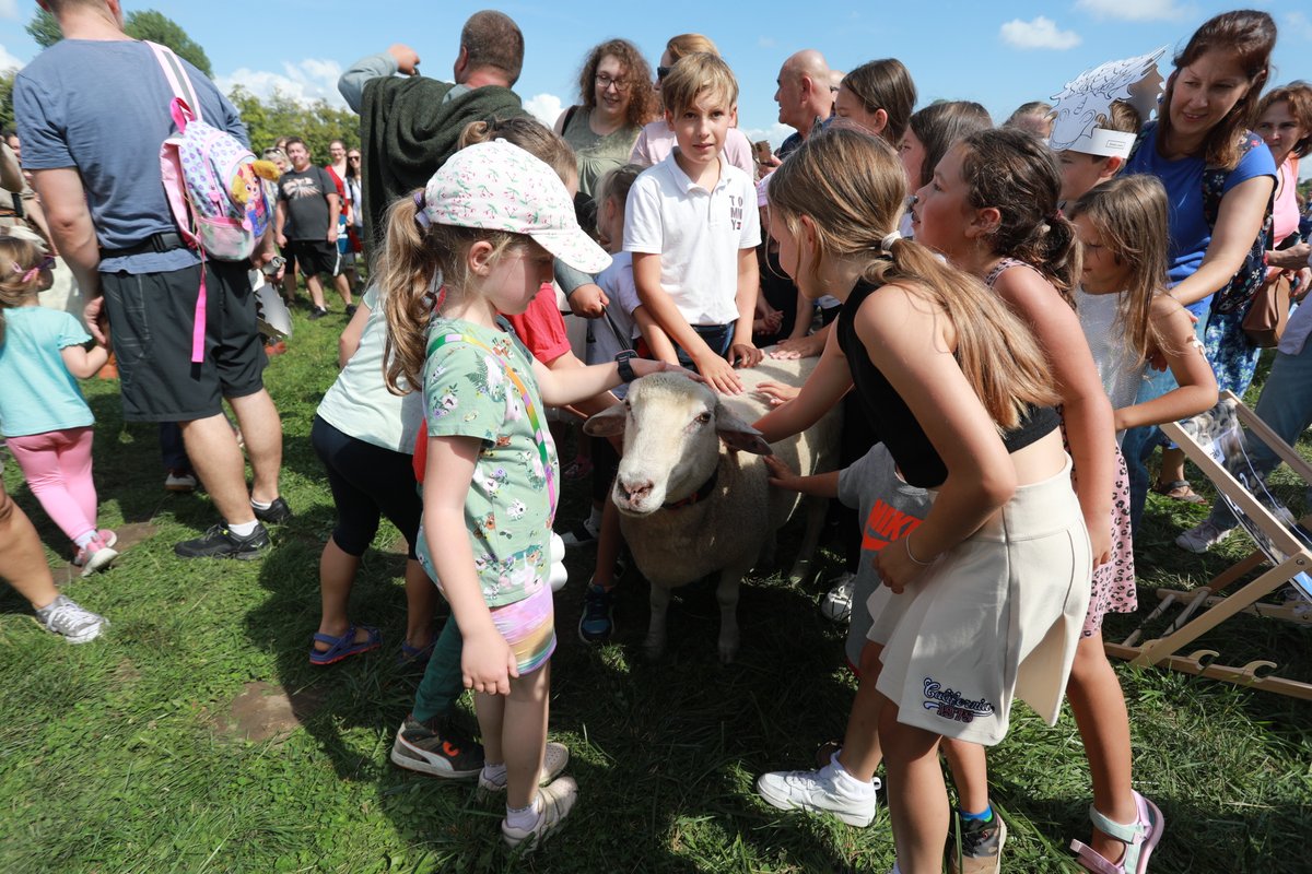 krakow_pl's tweet photo. Jak widać, jedną z największych atrakcji dla dzieci na🐲smoczym pikniku na krakowskich Błoniach była🐑Janina😃Miały wielką frajdę z tego spotkania👍
#UrodzinySmokaWawelskiego #KrakówCięZasmoczy #dzieci #frajda #piknik #atrakcje
Fot. @BSKrakow https://t.co/Evli5twssq