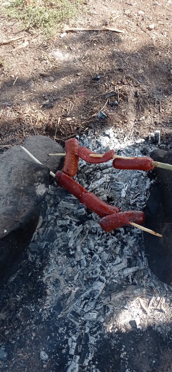 Faruk (@merfaru28872550) on Twitter photo 