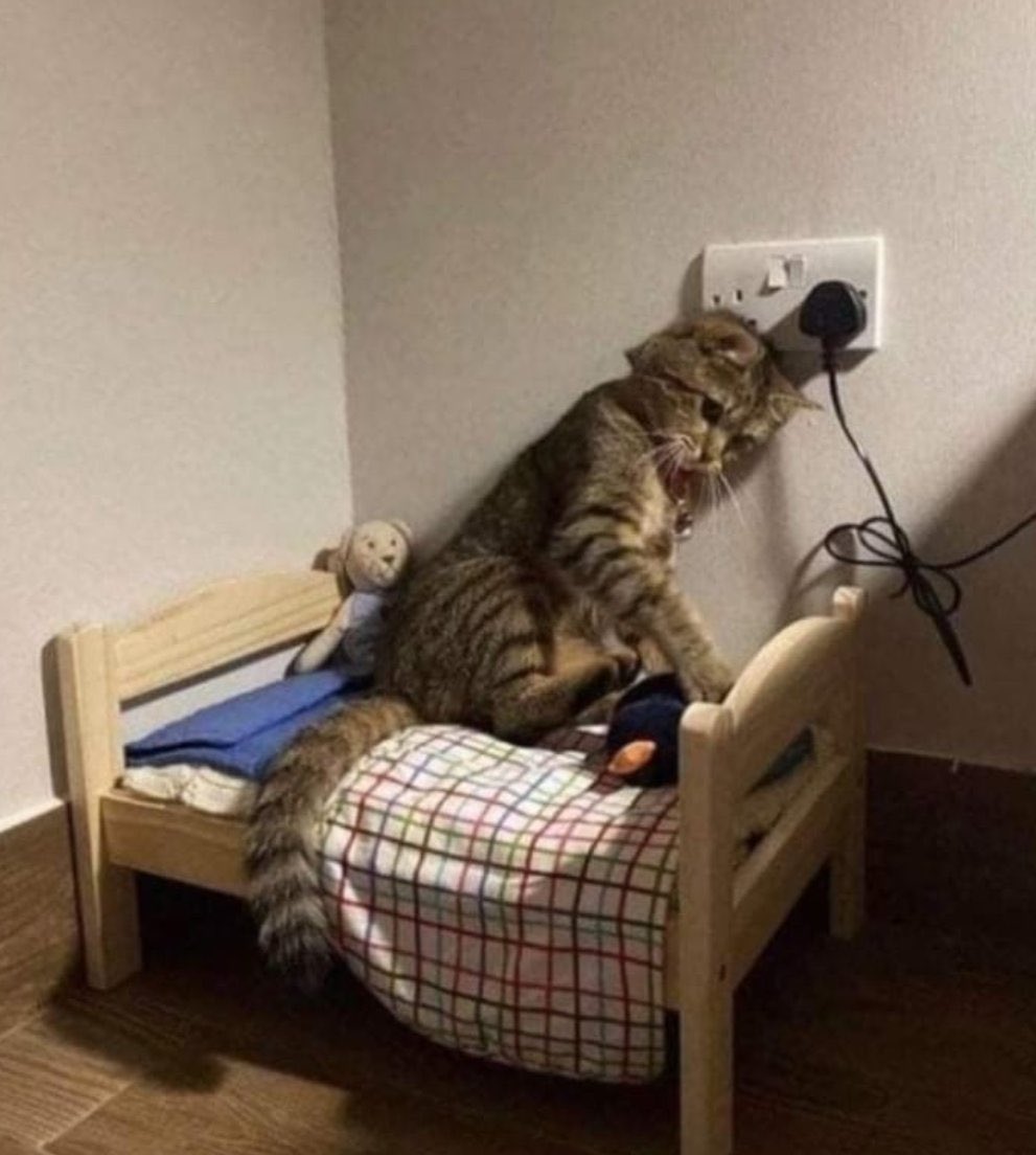 amanhã já é segunda de novo, mano. amanhã começa tudo de novo, sem cabimento um trem desses