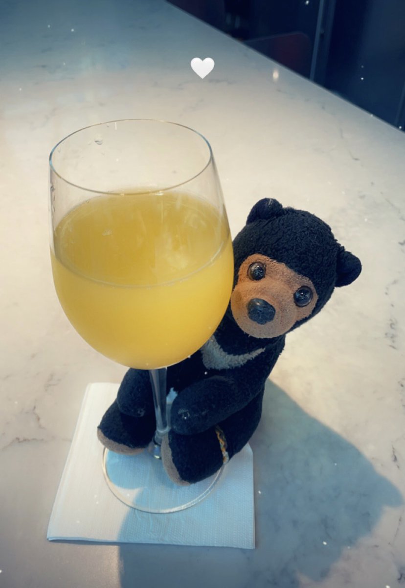 bugcatcherkate's tweet photo. Goooooood morning from PDX🥂✨ 🔜DEN✈️LHR
#tinybear #travelbuddies #softadventures https://t.co/YywOnIXLXt