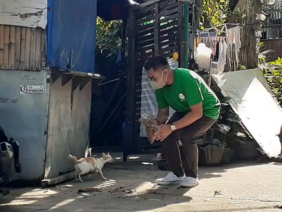 Hey! Felines tweet media