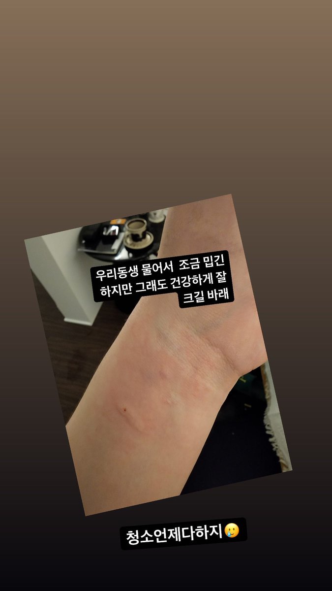 aceturkey7's tweet photo. [🇹🇷/220814] #ACE_IG

[#WOW] 

"Kardeşimi ısırdığın için senden biraz nefret ediyorum, ama yine de umarım sağlıklı ve güzelce büyürsün."

"Temizliği ne zaman bitireceğiz 🥲" https://t.co/iUfpx9i6Ra