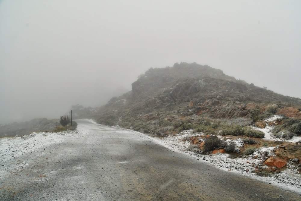 ReenvalSA's tweet photo. Being up on the #swartberg mountains near #princealfred early this morning when it began to #snow here are a few photos Credit to Sue Hoppe with permission to share
📷Ursula Caroll
@SAWeatherServic @VoxWeatherZa @peoples_weather @ewnreporter @RadioHoutstokFM @AfricaWeather_ https://t.co/lBuRL7WIRc