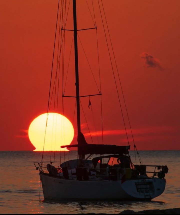 Angel_InTheSoul's tweet photo. #amazing_sunset ♥️♥️♥️♥️ https://t.co/3V0oxwib0q
