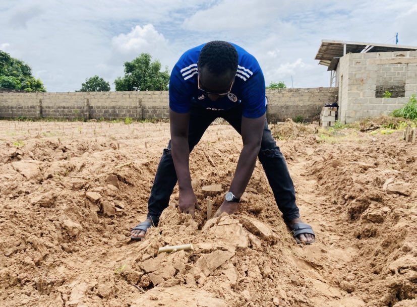 MaslamSanneh's tweet photo. #FarmSunday
Cassava planting 90% done!
#MaslamFarmπ± https://t.co/DDLUOQMXoH