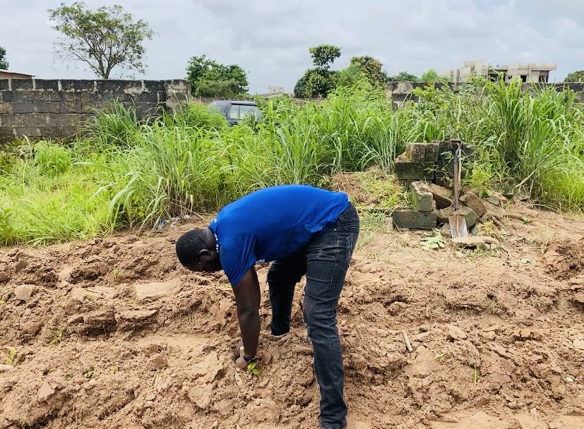 MaslamSanneh's tweet photo. #FarmSunday
Cassava planting 90% done!
#MaslamFarmπ± https://t.co/DDLUOQMXoH